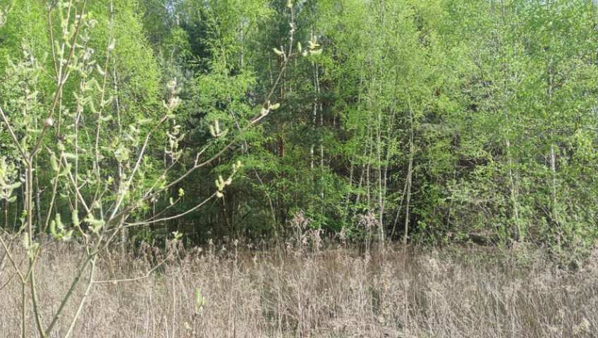 Działka Sprzedaż Wyględy